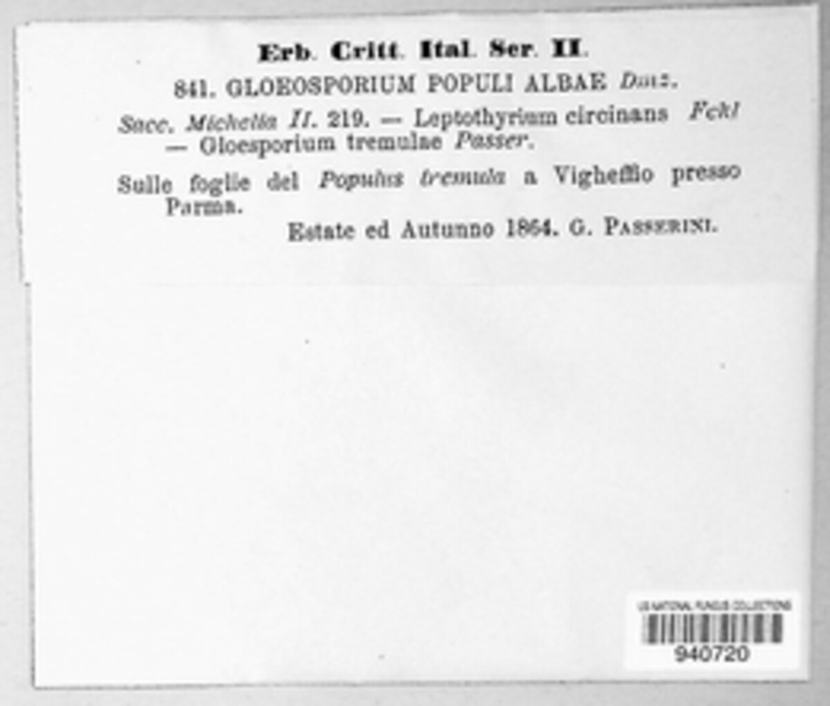 Gloeosporium populi-albae image